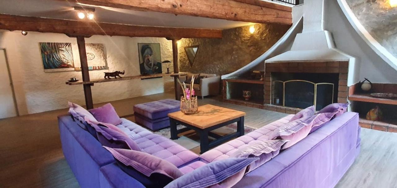 Gite De 420 Metres Carres Dans Chateau L'Ange Au Violon Jusqu'A 13 Couchages Conques-sur-Orbiel Exterior foto