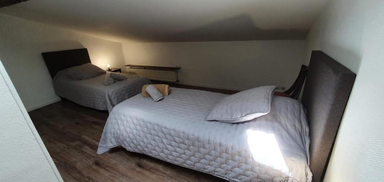 Gite De 420 Metres Carres Dans Chateau L'Ange Au Violon Jusqu'A 13 Couchages Conques-sur-Orbiel Exterior foto